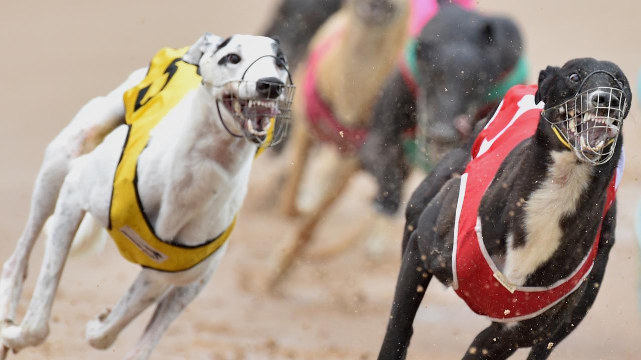 The Topgun at The Meadows is one of the sport’s marquee nights. Picture: Jay Town