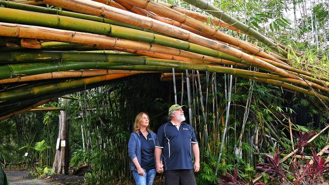 Bamboo Down Under owners Rick &amp; Lisa Warwick are reminiscing on the past two decades at their nursery in Wongawallan. Friday May 31, 2024. Picture, John Gass