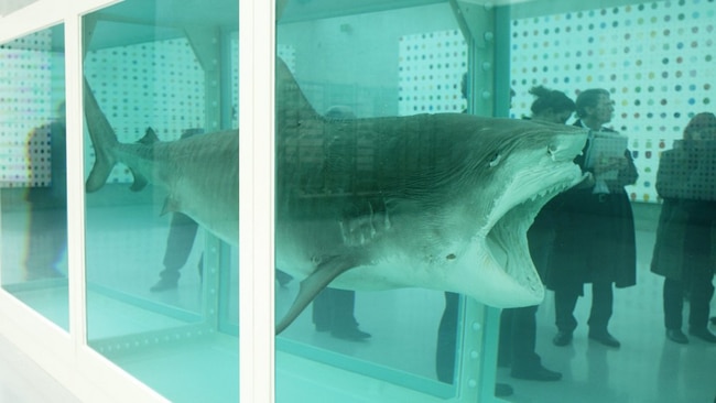 Damien Hirst's ‘The Physical Impossibility of Death in the Mind of Someone Living’