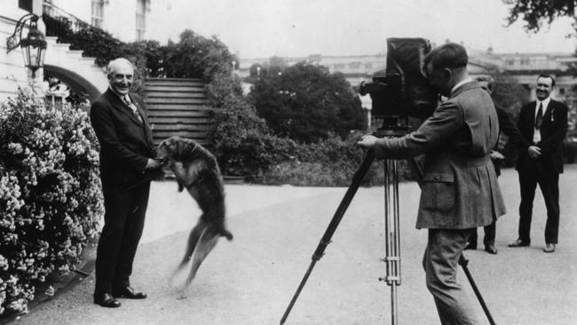 The ‘normalcy’ of Warren Harding, outside the White House with his dog Laddie Boy in 1923, has its appeal. Picture: Library Of Congress via Getty Images