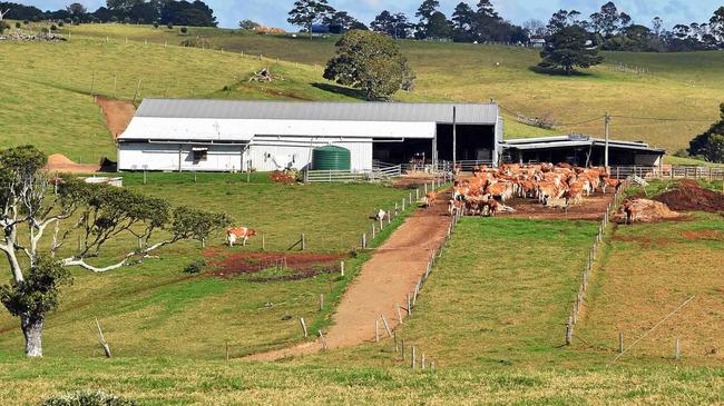 Maleny Dairies. Picture: Greg Miller