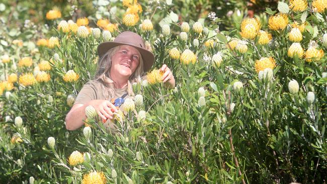 Peninsula wildflower operator Dawn Allen. Picture: Yuri Kouzmin