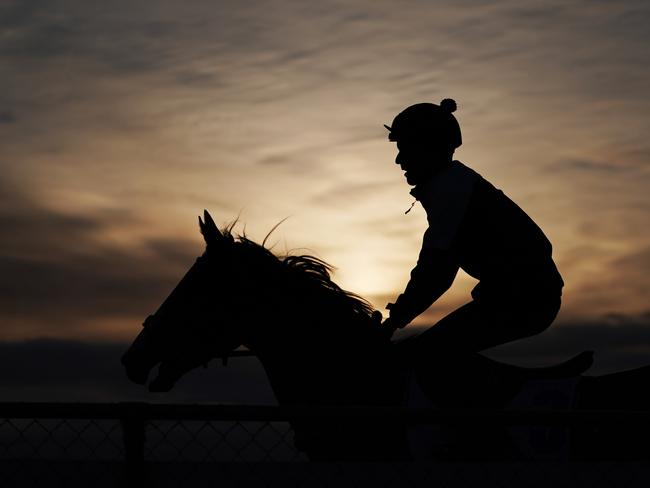 Jockey Luke Nolan rides Constantinople during a track work session at the International Horse Centre at Werribee Racecourse in Melbourne, Monday, October 7, 2019. (AAP Image/Michael Dodge) NO ARCHIVING