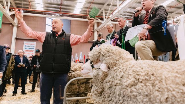 Bendigo Sheep and Wool Show 2019 Ram sale. Picture: Chloe Smith