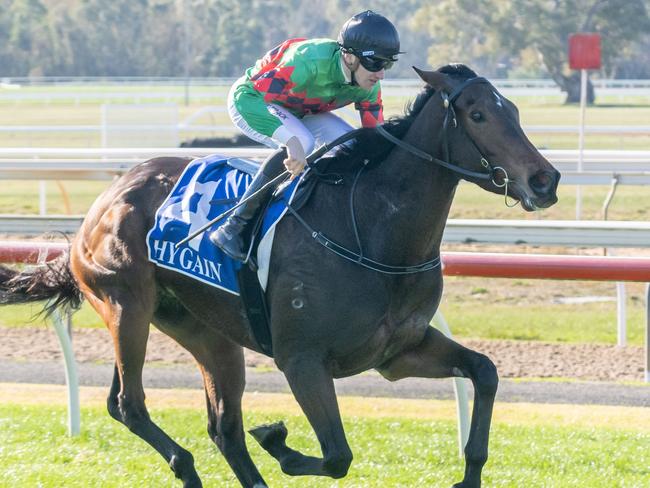 Glenfinnan is a top chance to start his latest campaign with a win at Pakenham on Friday night. Picture: Racing Photos via Getty Images.