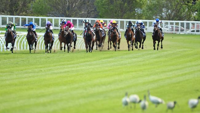 Kovalica (far right) in the straight during the King Charles III Stakes.