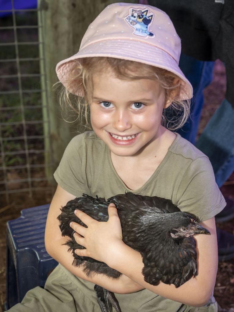 Caitlin West 5 yo at Viv's Farm Animals, Toowoomba Royal Show. Friday, March 25, 2022. Picture: Nev Madsen.