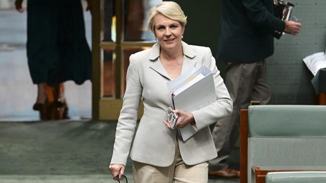 Tanya Plibersek has defended Peter Dutton’s son. Picture: NewsWire