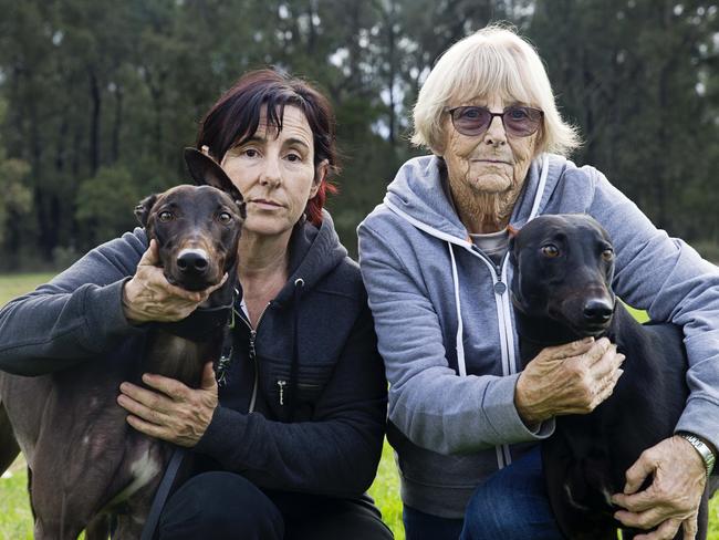 Without prizemoney from racing, Kerry and Doreen say it would become difficult to cover the $4000 per month costs of keeping their dogs / Jenny Evans