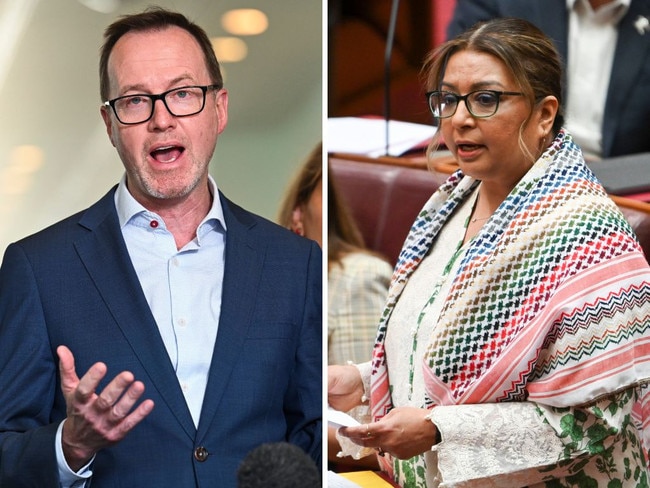 Greens senators David Shoebridge and Mehreen Faruqi.