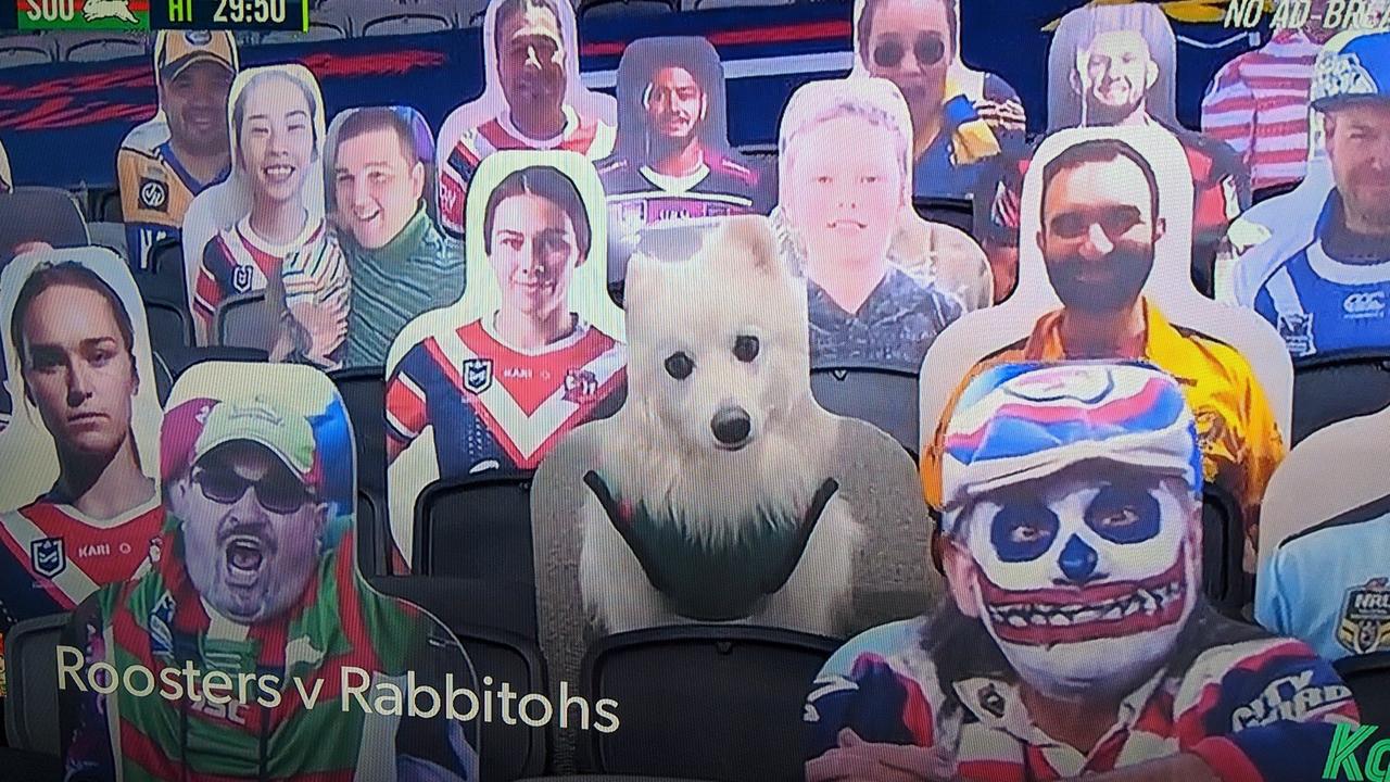 The crowd at Bankwest Stadium on Friday night. CREDIT: Twitter, Matt Bungard