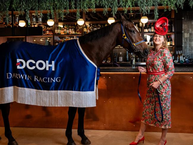 A racehorse visits new bar Sweethearts ahead of the 2024 Darwin Cup Carnival.