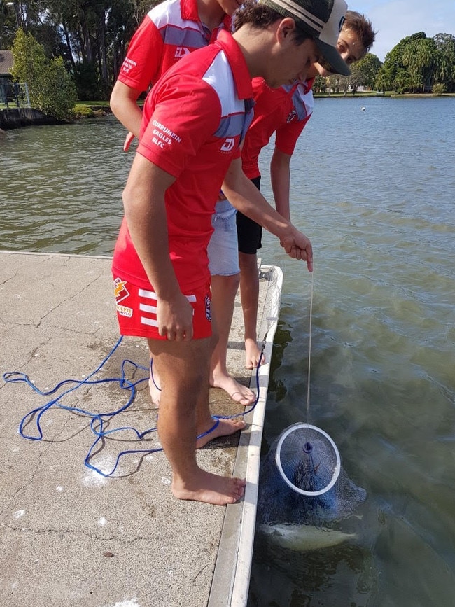 Local Palm Beach boys trying to rescue the remaining fish