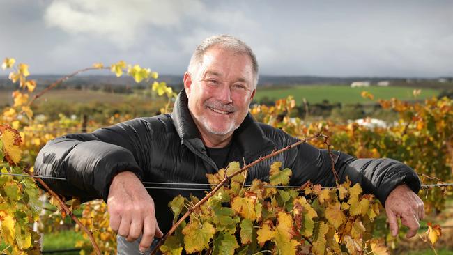 Warren Randall in one of his vineyards at McLaren Vale. Picture Dean Martin