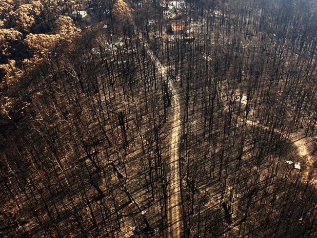 KINGLAKE, AUSTRALIA - FEBRUARY 12:  A dirt track runs through the burnt out forest in the Kinglake region on February 12, 2009 in Melbourne, Australia. Victoria Police have revised the bushfire disaster death toll to 181, the worst in Australia's history.  (Photo by Mark Dadswell/Getty Images)