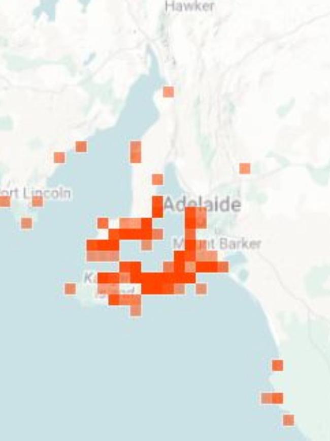 The reports in Adelaide over the last three months. Picture: iNaturalist