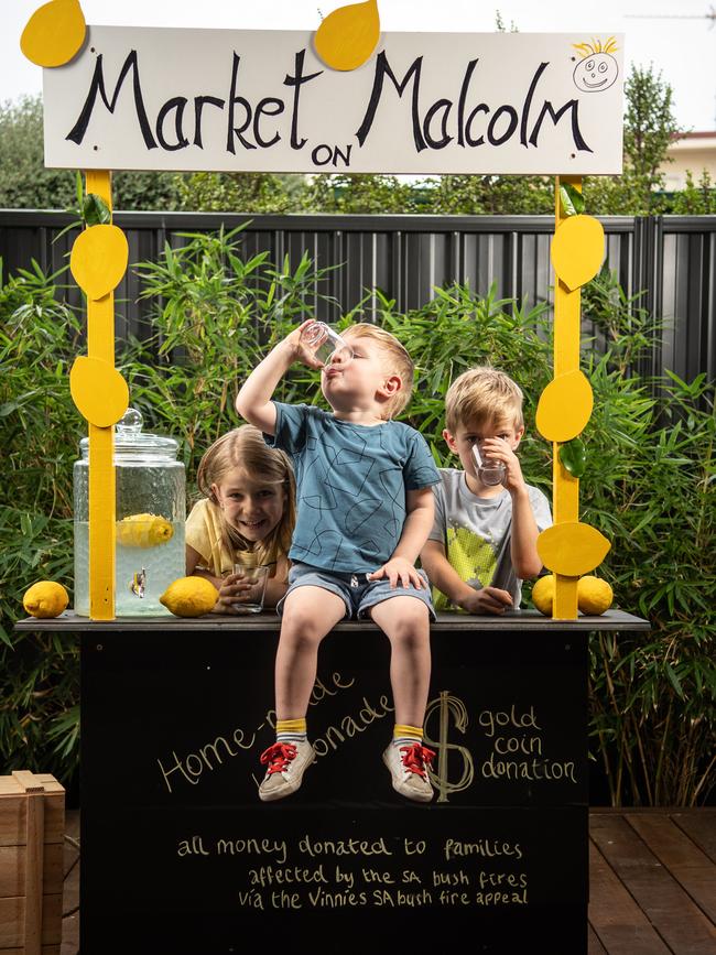 Amalie, Xavier, and Remy with their lemonade stand. Picture: Brad Fleet