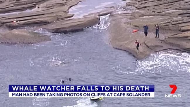 Whale watcher falls to his death (7 News)