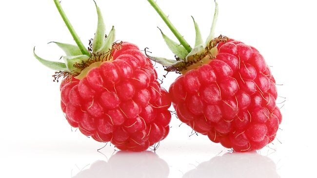 raspberries taste dec 3