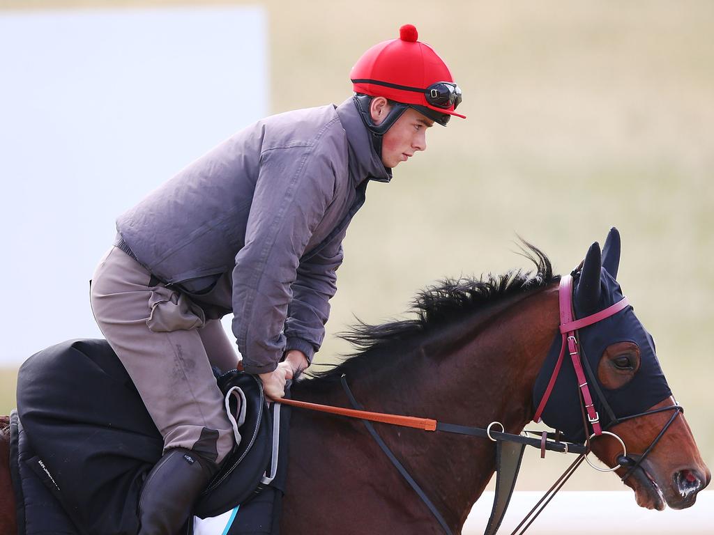 Nakeeta gallops during a Werribee trackwork session. (Photo by Michael Dodge/Getty Images)