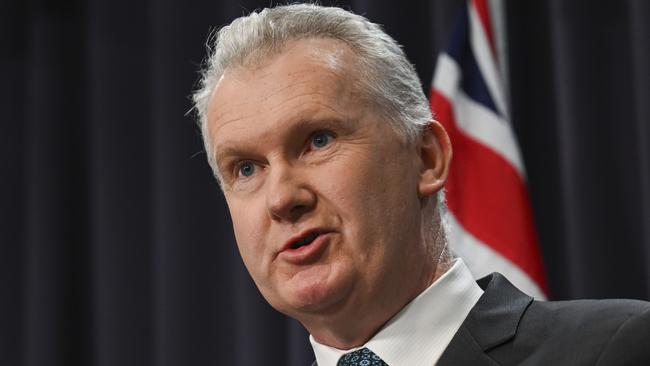 Home Affairs and Immigration Minister Tony Burke. Picture: Martin Ollman