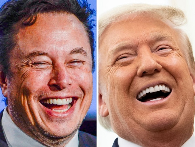 Elon Musk ‘living in cottage’  at Mar-a-Lago paying $2k a night while advising Trump