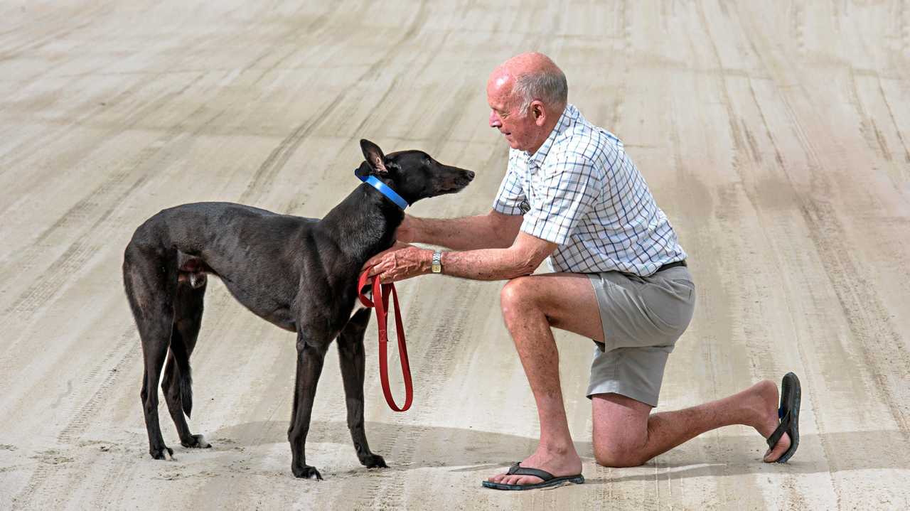 what is the prize money in greyhound racing