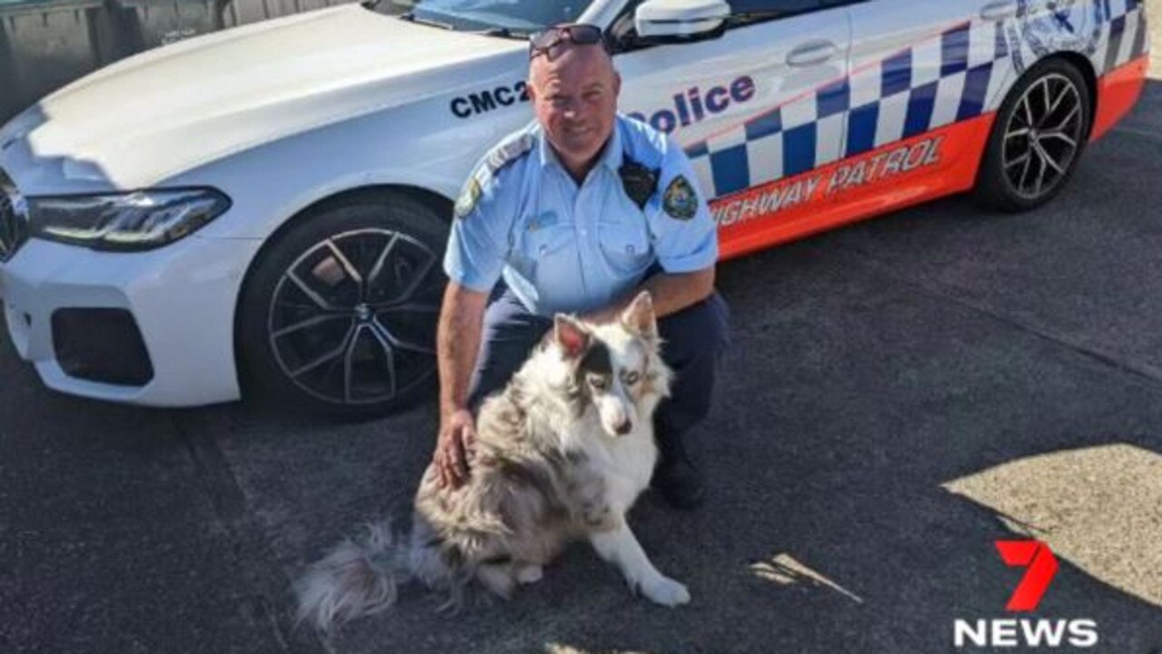 Police located Bowie ‘safe and well’ on Friday morning in Utungun, NSW. Picture: 7NEWS