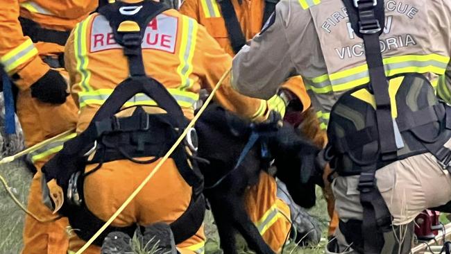 Marah safely back above ground after falling 15 metres.