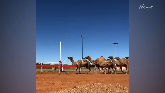 How to keep fit in outback Queensland