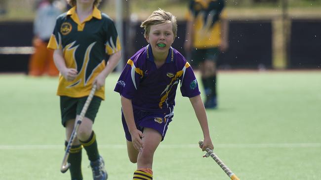 Macarthur Chronicle - Pictured: Julian Cook (Harrington Park) on the ball - Ingleburn Bulldogs (green yellow) versus Harrington Park Hurricanes (purple) - Macarthur District Juniors hockey finals 2014 held at Millwood Avenue, Narellan NSW Australia