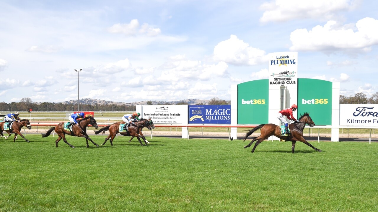 Royals attend Magic Millions in Australia