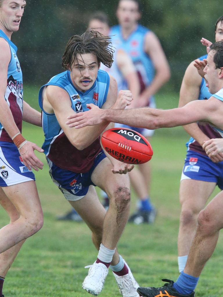 Geelong Football: GFL, GDFL, BFL Photos | Daily Telegraph