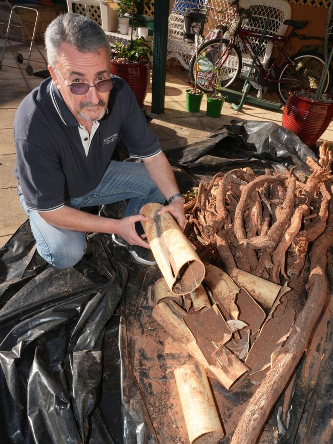 Mr Djukic in his backyard with the broken PVC piping and tree roots dug out during repairs. Picture: Dean Martin