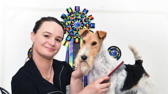 Shayla Knipe and her dog Harper have recently won the Australian dog grooming championships. Photo Patrick Woods / Sunshine Coast Daily.