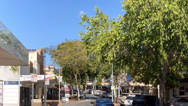 Council CEO Shane Gray said problems caused by the leopard trees in Mary St had been known and investigated by the council for more than a decade.