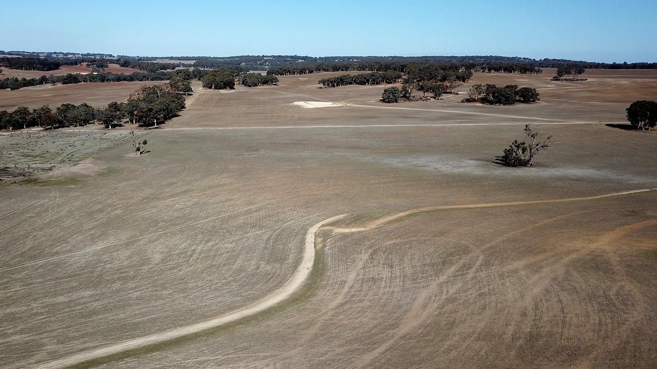 China slapped an 80 per cent tariff on Australian barley. Picture: AAP Image/Richard Wainwright