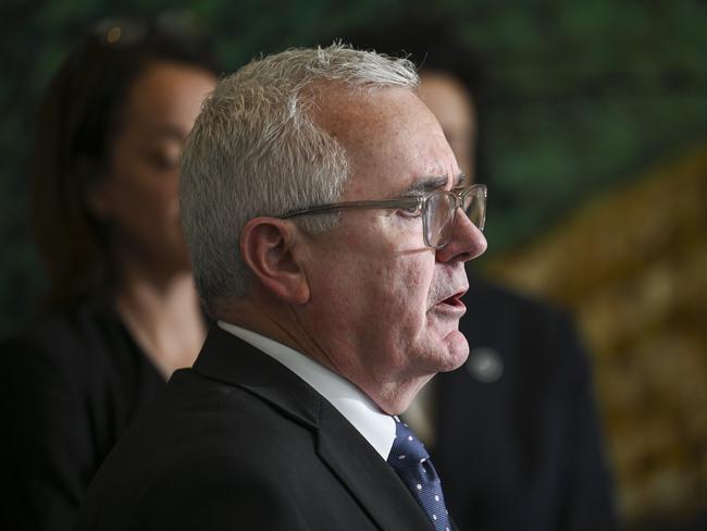 Andrew Wilkie MP speaking at Parliament House in Canberra earlier this week. Picture: NewsWire / Martin Ollman