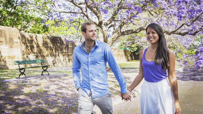 Jacarandas in bloom outside the Victoria Barracks on Oxford St, Paddington.