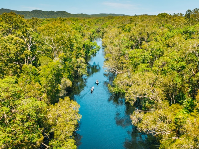 <span>26/50</span><h2>Noosa Everglades, QLD</h2><p>You might have heard of the Florida everglades, but did you know that Australia has the only other one in the world? <a href="https://www.escape.com.au/destinations/australia/queensland/only-two-everglades-on-earth-and-one-of-them-is-in-noosa/news-story/0422c36a1e1e59d51a74ef9ed5555eb9" target="_blank" rel="noopener">Rent a kayak</a> and get paddling amongst the trees and water lilies, spotting birds (over 40 percent of Australia’s bird species are here). You can even take a dip - unlike in the US, there are no alligators here. Picture: Jesse Lindemann/TEQ</p>