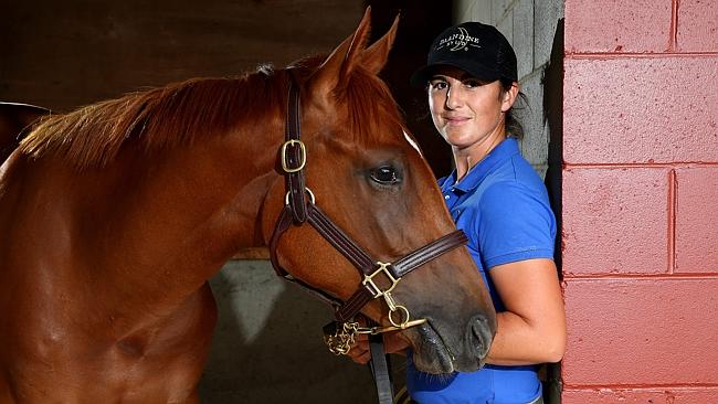 Big buyers arriving for Magic Millions sales, best quality yet | Gold ...