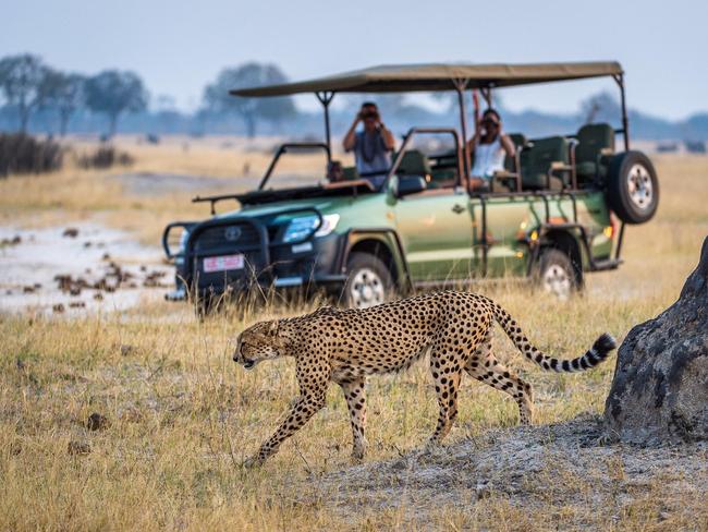 On safari at Mpala Jena, Zambezi National Park, Zimbabwe.