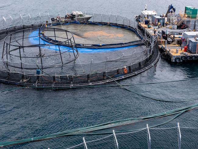 Aerial view Tassal fish farm pens/ salmon farming pens at Long Bay, Tasman Peninsula. Pics Supplied.