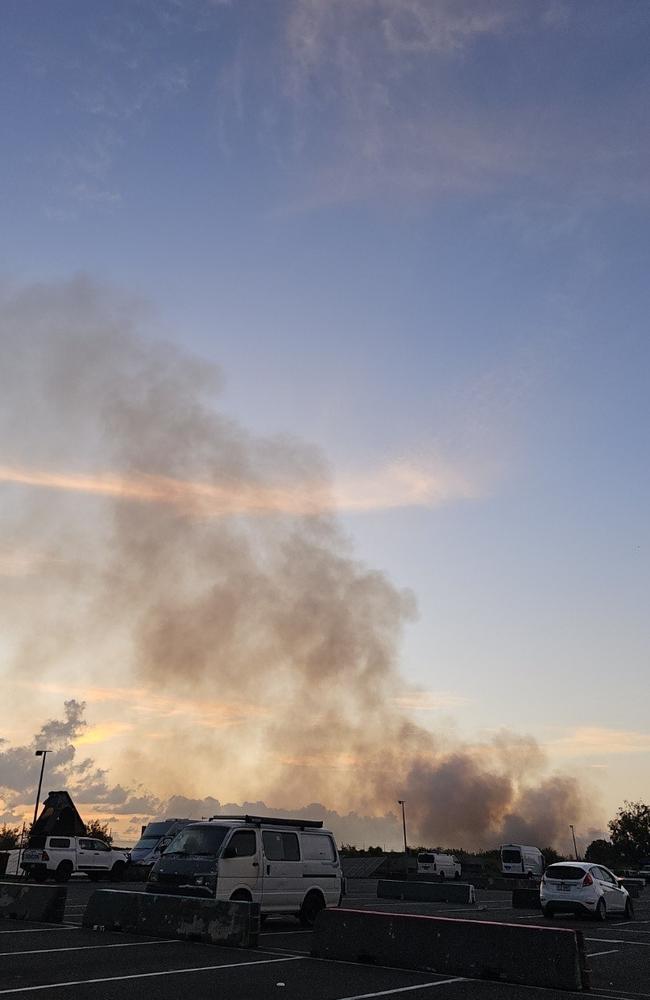 A fire tore through bushland at The Spit on New Year's Day. Photo: George Manolis.