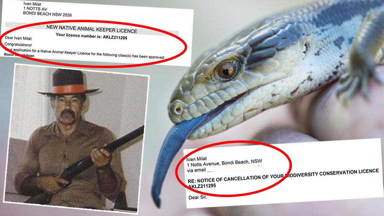 Slippery customer: How I got a reptile licence for Ivan Milat