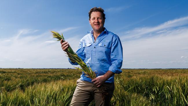 GoFARM managing director Liam Lenaghan in a barley crop at their Lake Boga property in northern Victoria. Picture: Aaron Francis