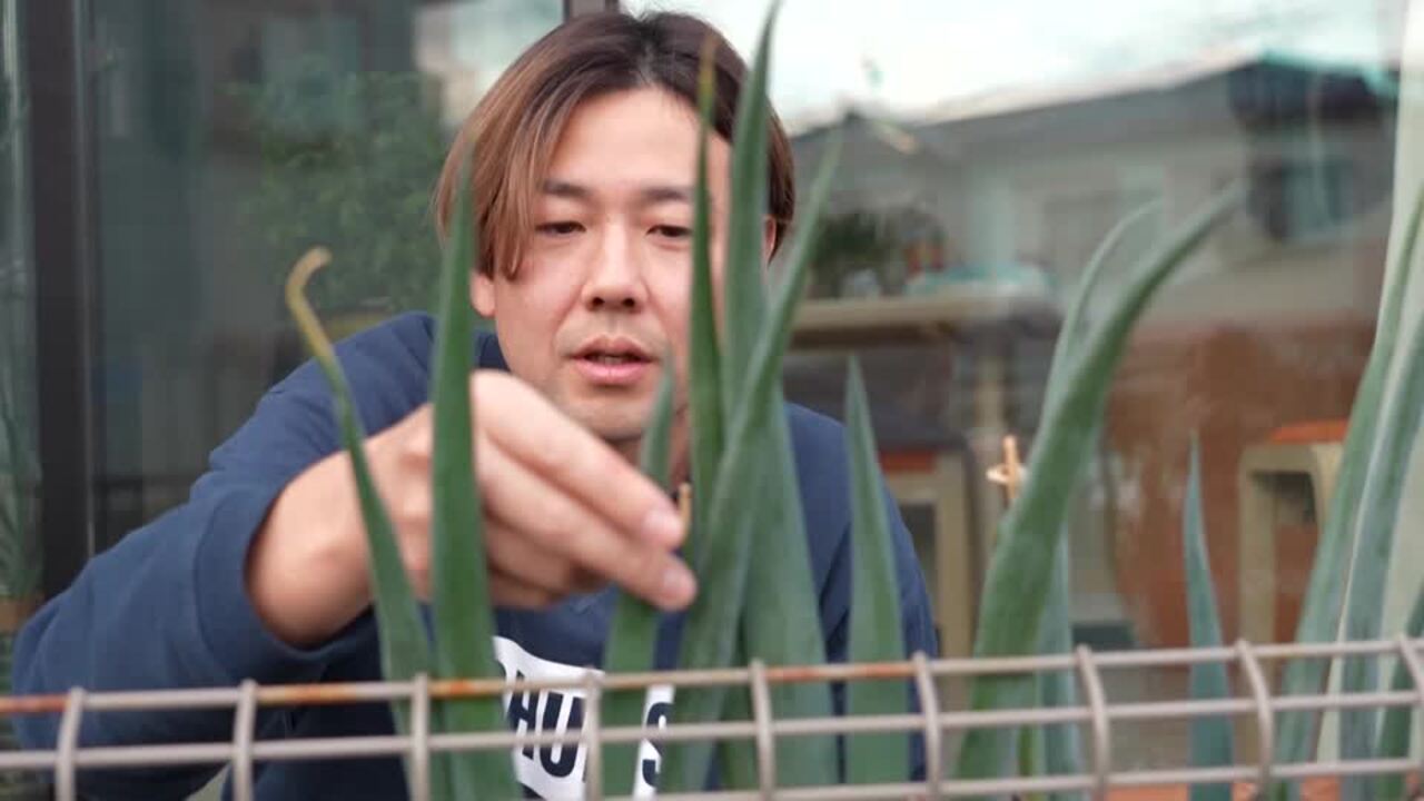 As prices soar, more Japanese take to growing their own food