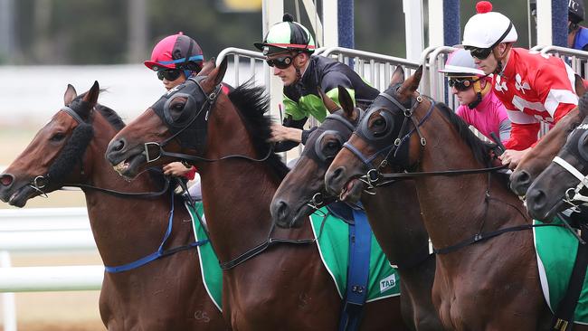 Sydney preview: Warwick Farm