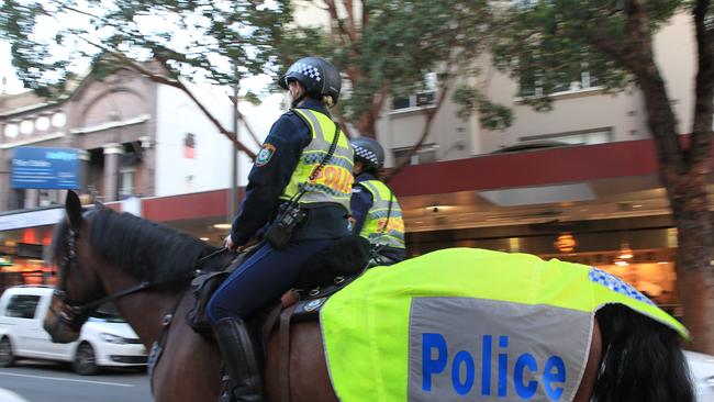 A police officer and horse were allegedly attacked on Wednesday. Picture: Generic.