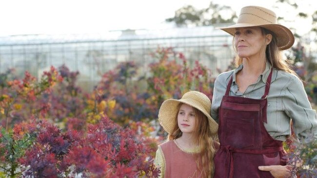 A screengrab from The Lost Flowers of Alice Hart. Picture: Supplied.